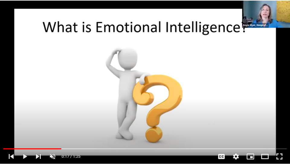 Workshop Teaser: Emotional Intelligence